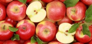 18 besten Rezepte für die Herstellung von Apfelrohlingen für den Winter