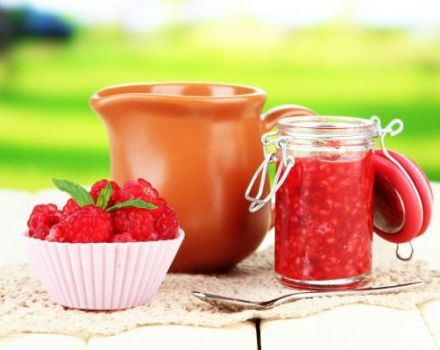 TOP 9 recetas paso a paso para hacer frambuesas con azúcar para el invierno sin cocinar