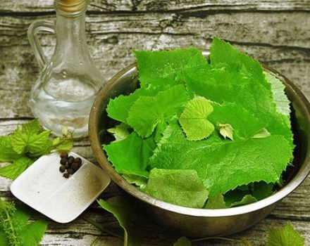 Рецепти за кисели гроздови листа за зимата