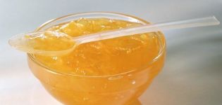 TOP 18 chutných receptů na výrobu cuketového džemu na zimu