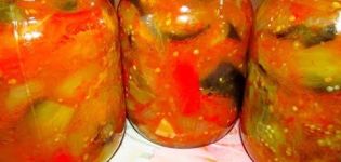 TOP 10 receitas para fazer salada de berinjela Ten para o inverno