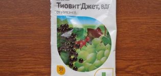 Упутство за употребу фунгицида Тиовит Јет и механизам деловања