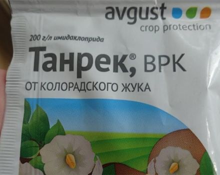 Инструкции за използване на Tanrek от колорадския бръмбар от Колорадо, как да се размножава правилно