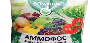 Упутство за употребу и састав аммофосног ђубрива, како га узгајати