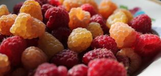 Welche Himbeeren sind gesünder, gelb, rot oder andere Sorten, wie unterscheiden sie sich?
