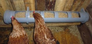 Como fazer um comedouro de frango faça você mesmo a partir de restos de materiais, desenhos