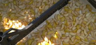 Како правилно сушити крушке у рерни и електричној сушилици