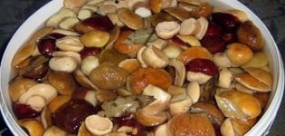 12 step-by-step recipes for making marinated porcini mushrooms for the winter in jars