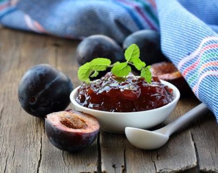 6 Rezepte für die Zubereitung von Pflaumenmarmelade - fünf Minuten für den Winter