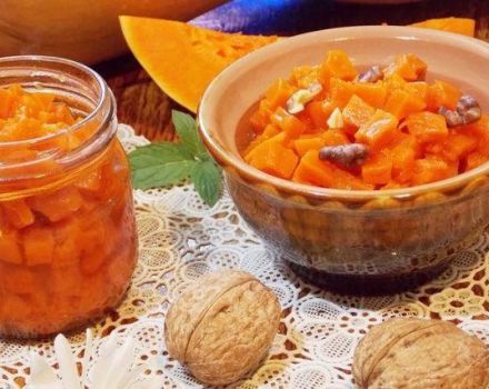 TOP 11 Rezepte zum schrittweisen Kochen von Kürbismarmelade mit getrockneten Aprikosen