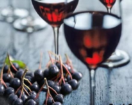 7 receitas simples passo a passo para fazer vinho chokeberry em casa