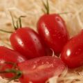 Eigenschaften und Beschreibung der Tomatensorte Damenfinger, deren Ertrag