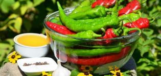 TOP 14 des recettes simples pour faire des piments marinés pour l'hiver