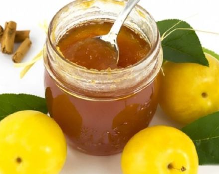 The most delicious and simple recipe for making cherry plum jam for the winter