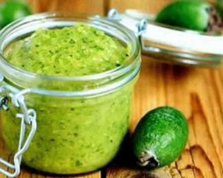 12 chutných receptů na výrobu feijoa jam na zimu