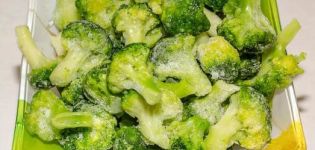 ТОП 10 рецепата како замрзнути броколи за зиму код куће са и без кључања