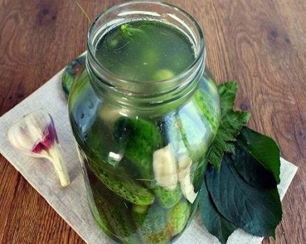 TOP 6 recipes for making pickled cucumbers with horseradish for the winter