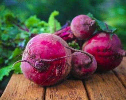 TOP 13 Rezepte für die schrittweise Zubereitung von Rote-Bete-Salaten für den Winter