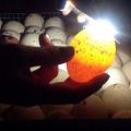 Ovoscopia de ovos de pato em casa e desenvolvimento embrionário durante o dia
