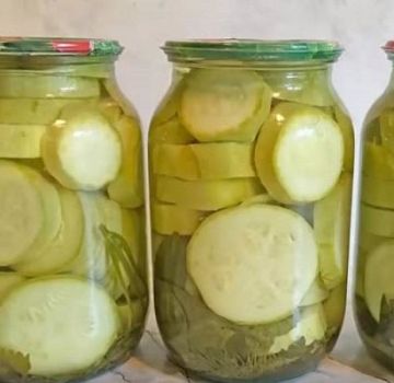 Krok za krokem recept na výrobu marinovaných cuket s máslem na zimu