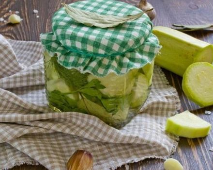 Przepisy na marynowanie cukinii koperkiem na zimę polizasz palce