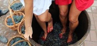 Kaip tinkamai paspausti vynuoges ant vyno namuose ir sukurti savo rankomis presą
