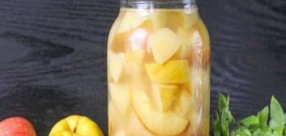 TOP 5 enkla och läckra recept för att göra banankompott för vintern