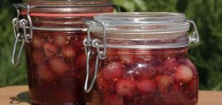 8 einfache Rezepte für köstliche rote Stachelbeermarmelade für den Winter