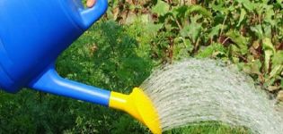 Кога и как да поливате цвекло със солена вода, за да ги поддържате сладки