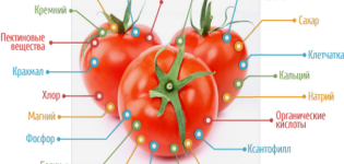 Quali vitamine si trovano nei pomodori e come sono utili?