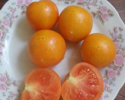 Beschreibung der Tomatensorte Zlatov, ihrer Eigenschaften und ihres Anbaus