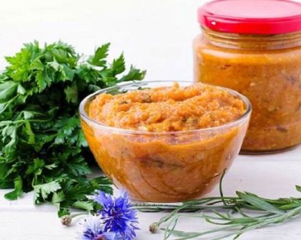 21 melhores receitas para cozinhar caviar de abóbora para o inverno em casa
