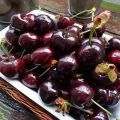 وصف وخصائص صنف Dyber Cherry وزرعه ورعايته