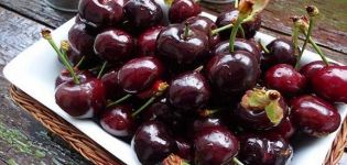 Beskrivning och egenskaper hos Dyber cherry-sorten, plantering och skötsel