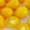 وصف مجموعة متنوعة من الطماطم Golden Drop و Bifseller pink f1