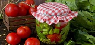 Οι καλύτερες συνταγές για τουρσί ντομάτας με σέλινο για το χειμώνα και τη διάρκεια διατήρησης της διατήρησης