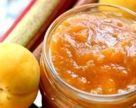 3 melhores receitas de geléia de damasco com frutose para diabéticos para o inverno