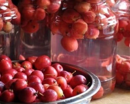 Công thức từng bước về cách nấu món bánh mì ranetki thơm ngon cho mùa đông trong lọ 3 lít
