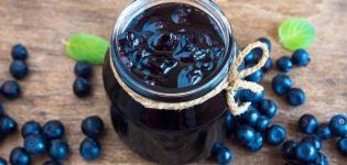 TOP 6 Rezepte für die Herstellung von Blaubeeren in Sirup für den Winter