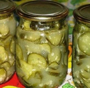 4 најбоља рецепта за киселе краставце сунцокретовим уљем