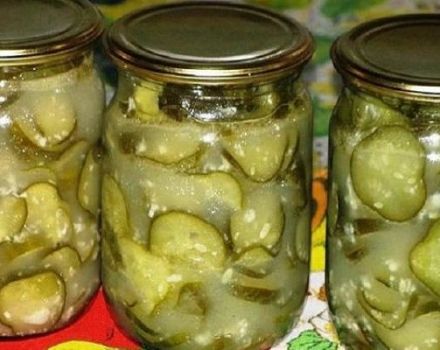 4 melhores receitas de pepino em conserva com óleo de girassol