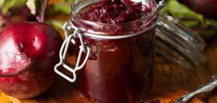 TOP 8 deliciosas receitas de beterraba em conserva para borscht frio para o inverno