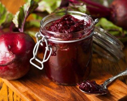 TOP 8 köstliche Rezepte für eingelegte Rüben für kalten Borschtsch für den Winter