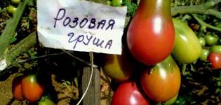 Descrição e características da variedade de tomate Pear pink