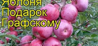 Описание и характеристики на сорта ябълково дърво Подарък на Графски, засаждане и поддръжка