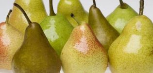 Is it possible to freeze pears in the freezer for the winter and how to do it correctly