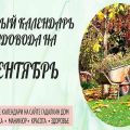 Календар на лунната сеитба на насажденията на градинаря и градинаря за септември 2020 г.