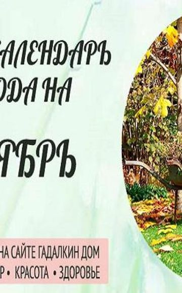 Lunar sowing calendar of planting of the gardener and gardener for september 2020