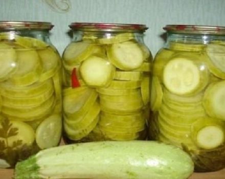 Najlepszy przepis na gotowanie cukinii we własnym soku na zimę