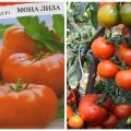 Description de la variété de tomate Mona Lisa et de ses caractéristiques